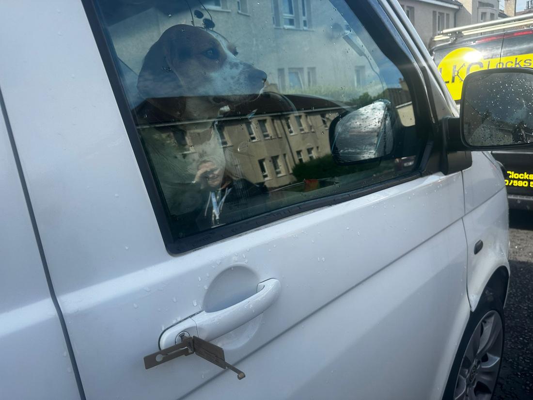 Called out to free a dog locked in a customer's van